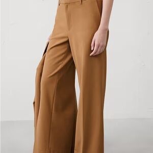 Wide-Leg Banana Republic High-Rise Pants in Camel